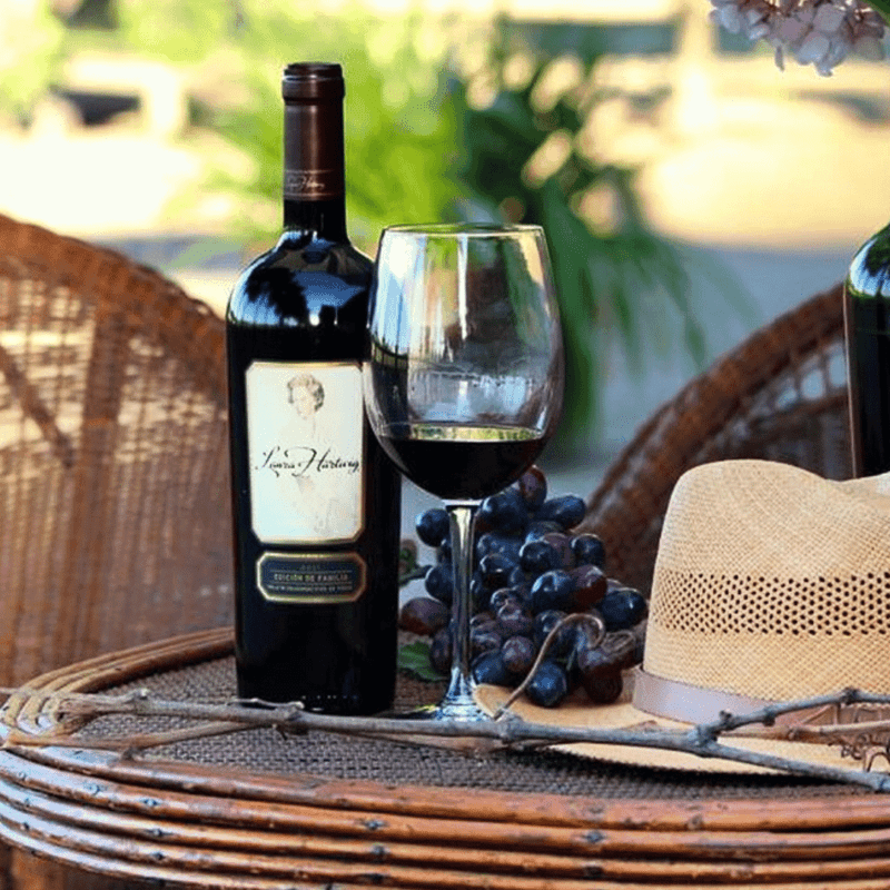BLOG YOPPEN Hall of Fame Viña Laura Hartwig vinos entrevista viña boutique cepa copa de vino tinto uvas